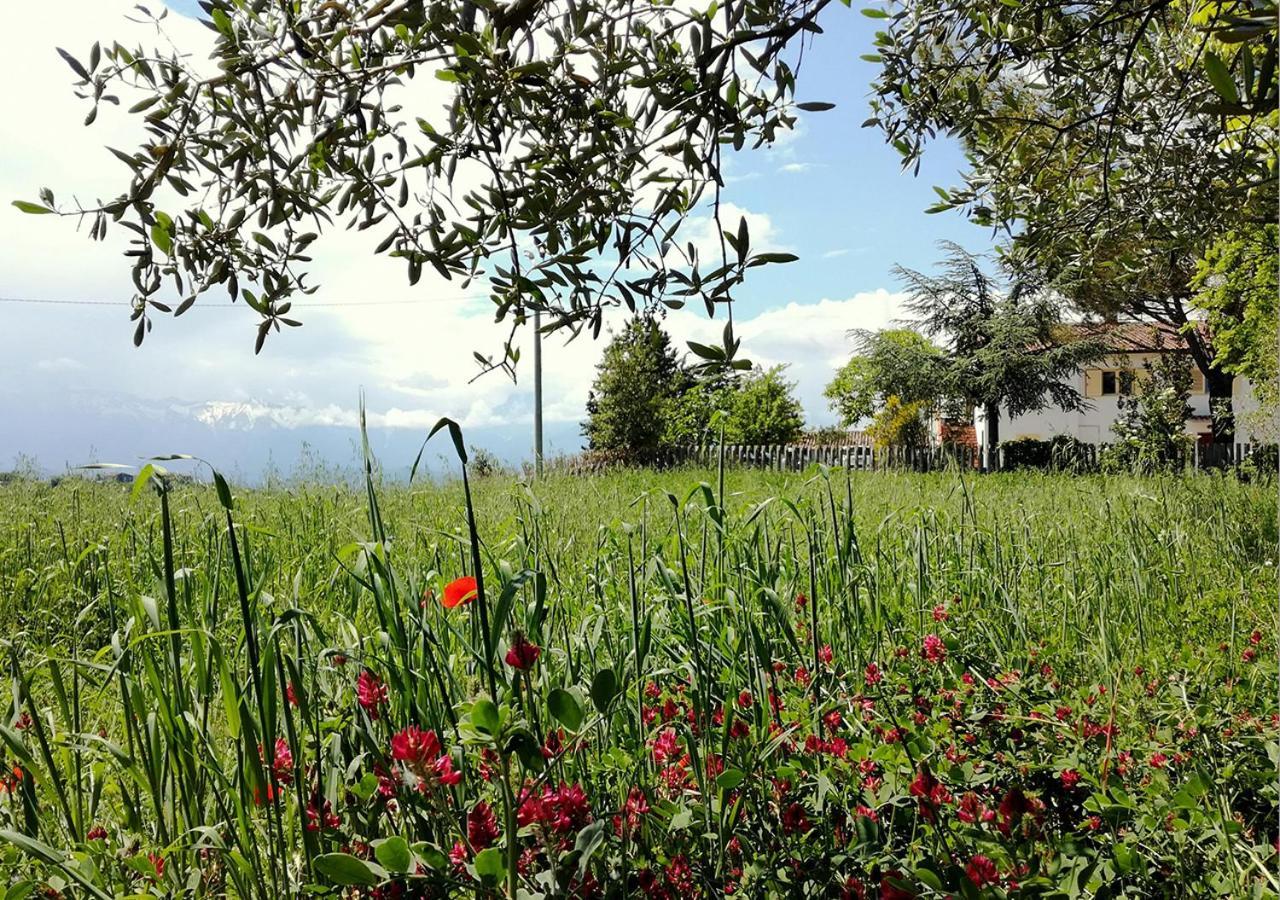 Casa Amrita, Yoga B&B Teramo Zewnętrze zdjęcie